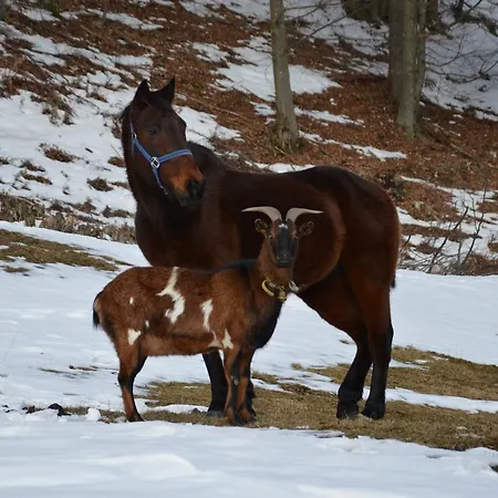 Apartmens And Sostar 3* Cerkno