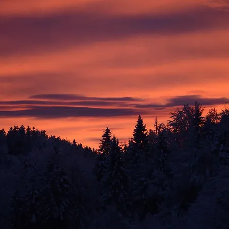 בית הארחה Apartmens And Sostar