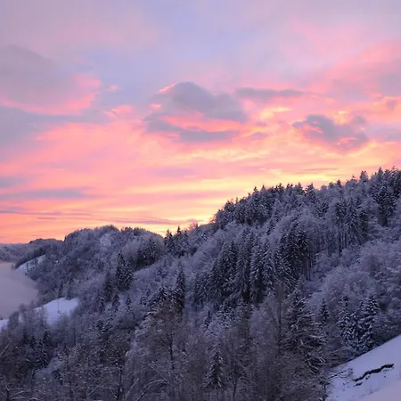 Apartmens And Sostar 3*