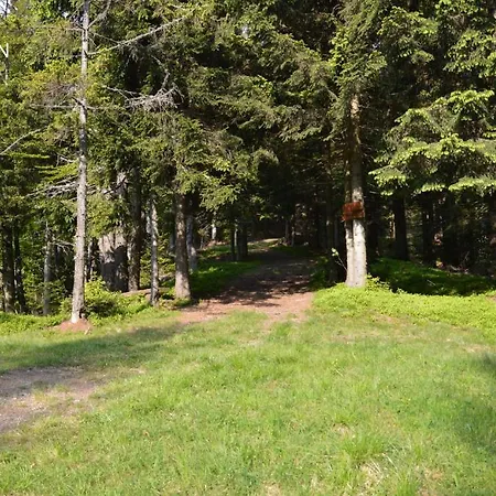 Gostinjska kuća Apartmens And Sostar