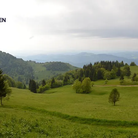 Apartmens And Sostar