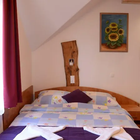 Apartmens And Sostar 3*