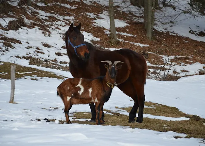Apartmens And Sostar 3* Cerkno