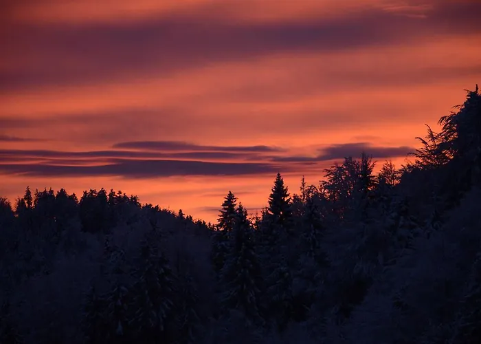 Hiša za goste Apartmens And Sostar