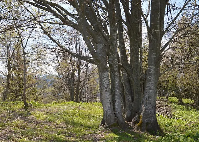 Gasthuis Apartmens And Sostar 3*