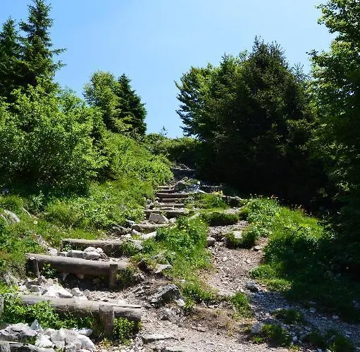 Apartmens And Sostar Hiša za goste