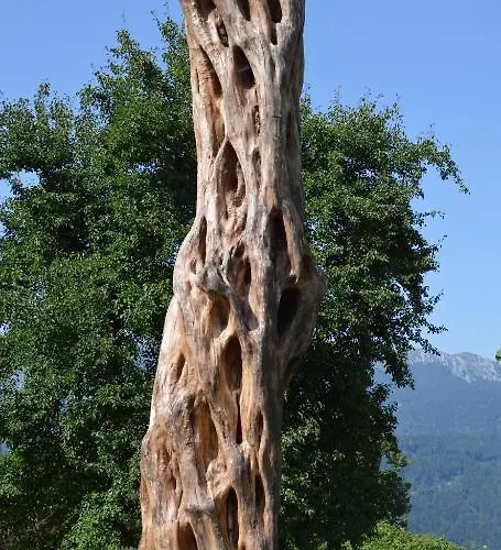 Hiša za goste Apartmens And Sostar 3*