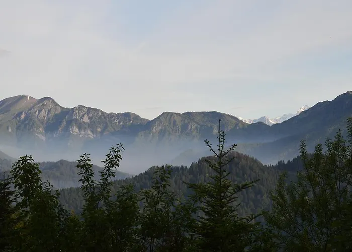 Apartmens And Sostar Konukevi