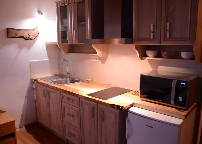 Gasthuis Apartmens And Sostar Cerkno